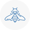 Bee Nest Removal Eaton Socon