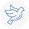 Bird Prevention Eaton Socon
