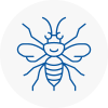 Eaton Socon Hornet Nest Removals
