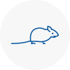 Mice Exterminators In Eaton Socon