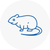 Rat Control Eaton Socon
