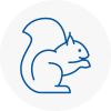 Eaton Socon Rodent Removals