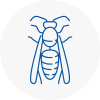 Eaton Socon Wasp Nest Removal